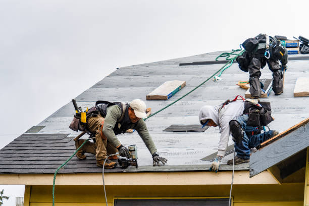 Professional Roof Repair technician working in Bitely, MI